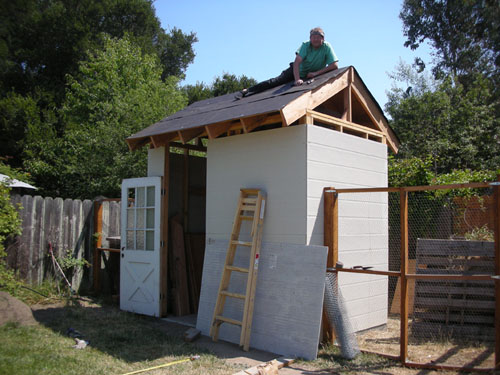 Chicken house with roofing felt