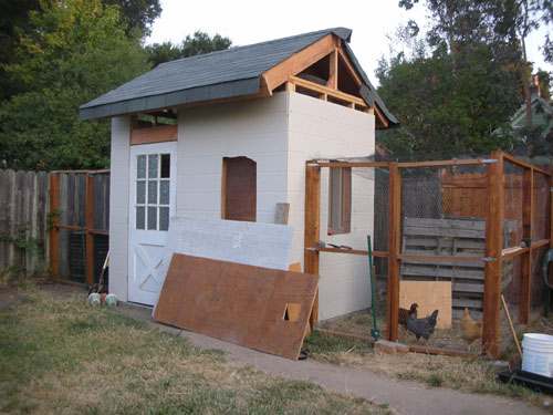 Shed with roof