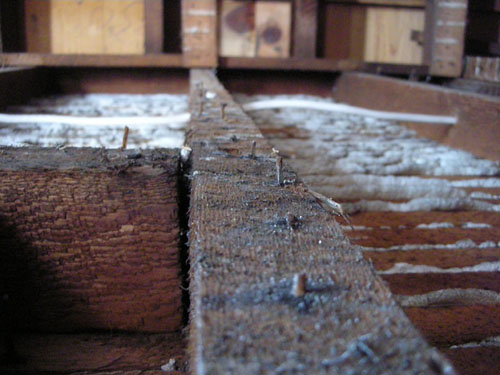 Old lath nails in the walls