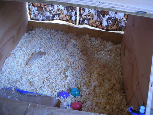 Inside the nest box