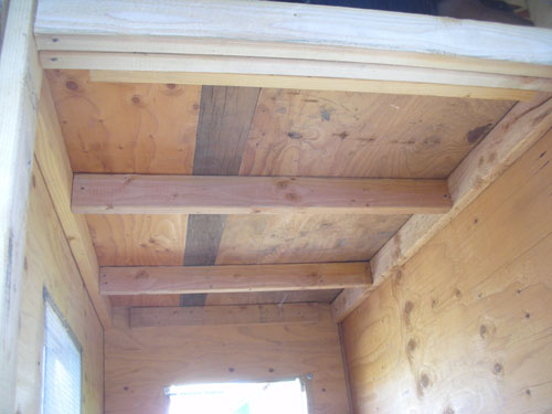 The ceiling in the chicken room