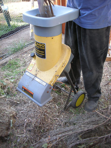 Shredding the brush pile