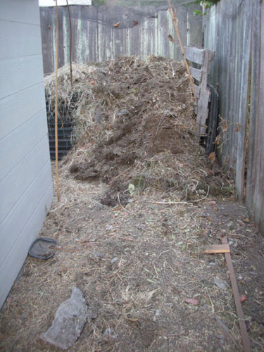 The other compost pile is a little overfull