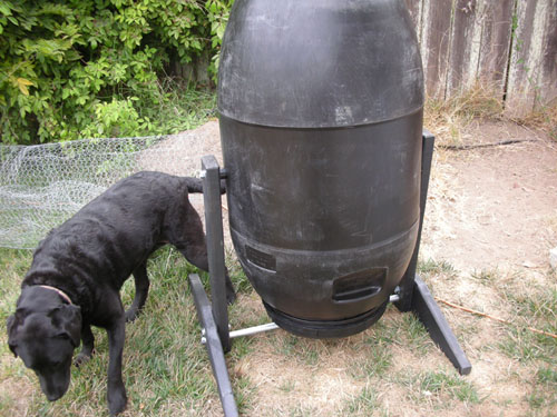 Compost tumbler, with dog for scale