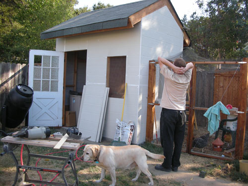 Chicken house, all caulked