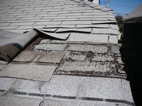 Shingles peeling back