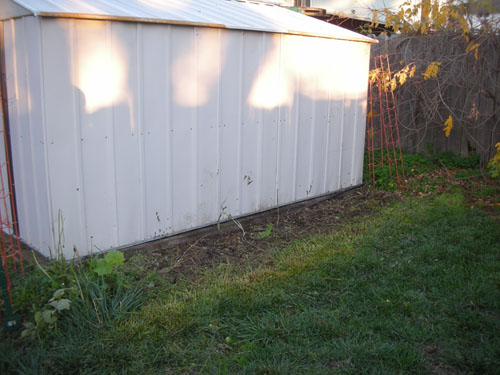 Cleared out tomato bed