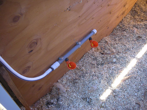 Auto-waterer installed in the chicken room