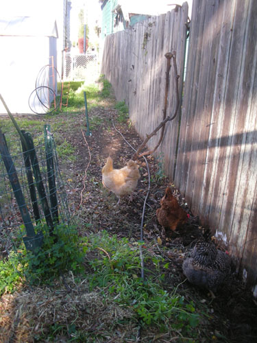 Checking out the raked-up side path