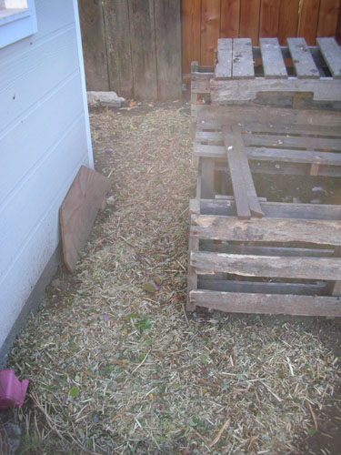 Chippings spread in the yard to make it cleaner