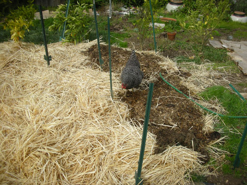 Installing posts in the garden