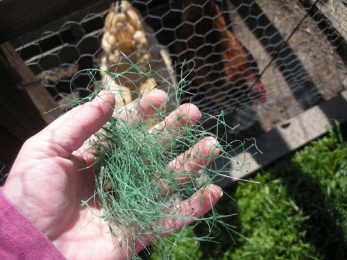 Chicken-cleaned sod mesh