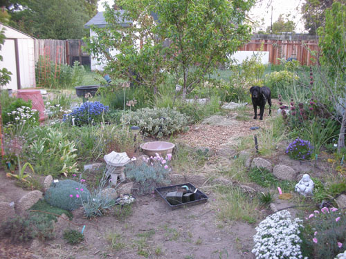 Garden overview