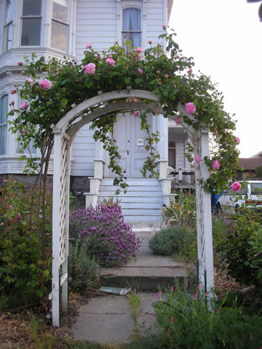 Rose arch