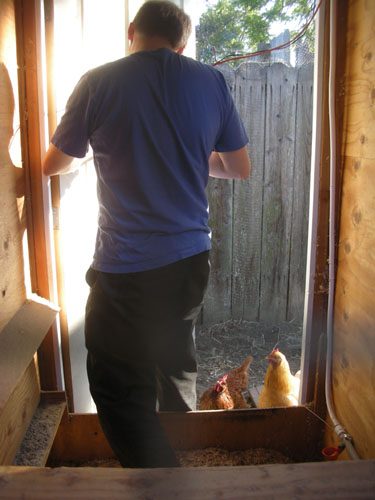 Installing the chicken door yet again