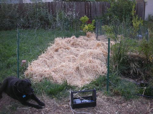 More straw, and a partial fence