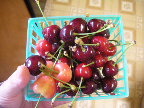 Cherries