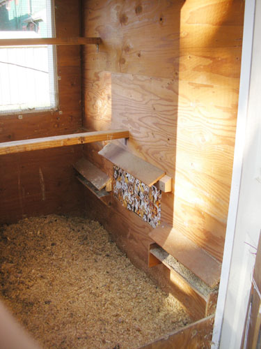 Remodeled chicken room