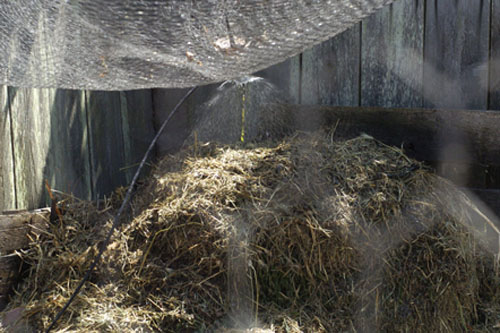 Spraying down the compost