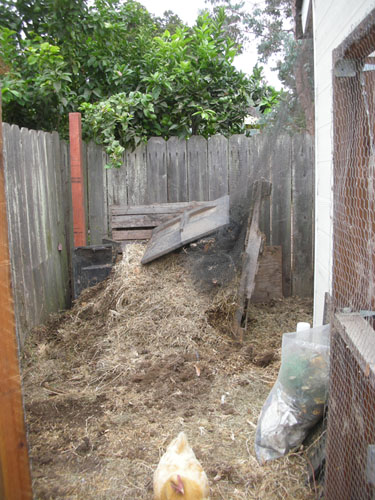Moved compost pile
