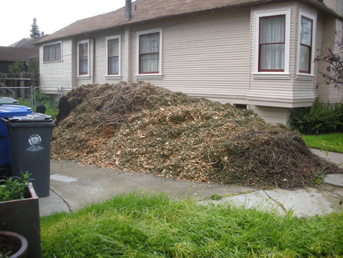 The pile in the driveway