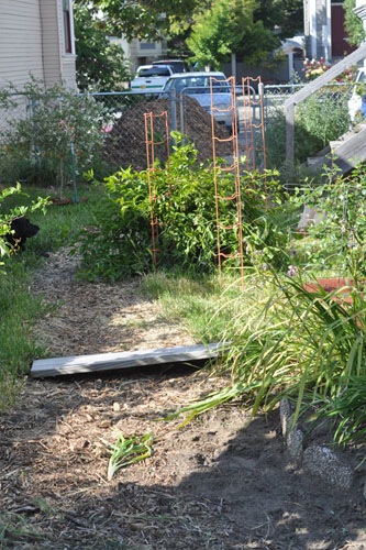 Path before pergola