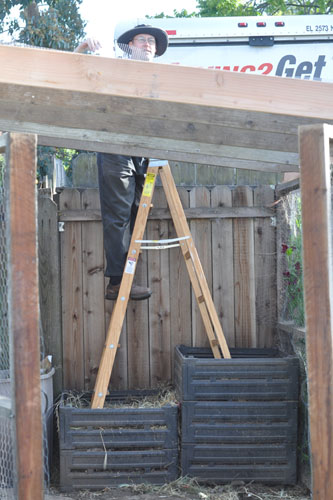 Ladder in the compost