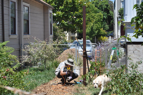 Placing the posts