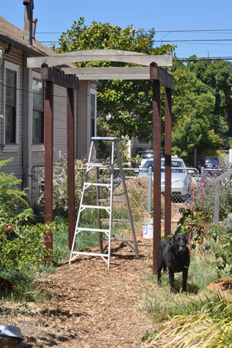 Latest stage in constructing a pergola