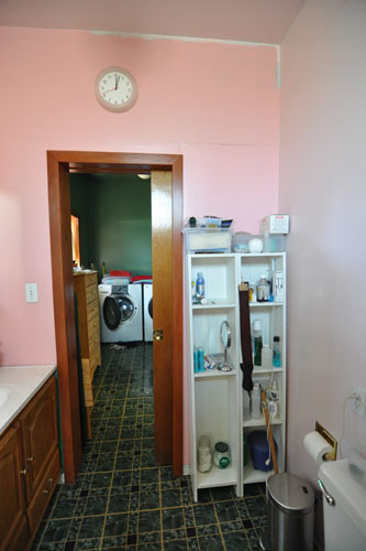 The bathroom shelves, before