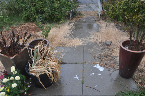 Front planters before