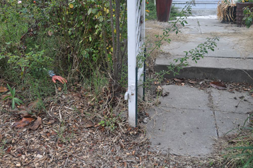 Arm in the hedge
