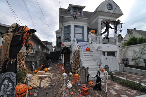 The Neumansky Pumpkin Patch