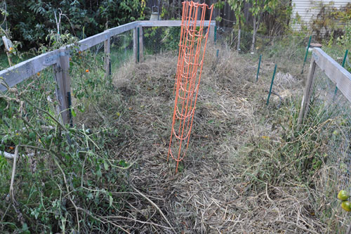 Tomato garden