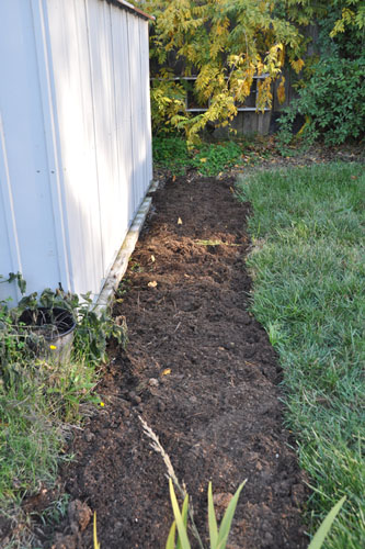 Compost covering the seeds