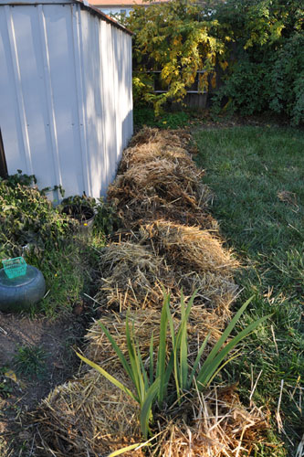 Straw on the side bed