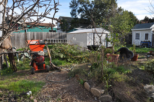 Brush pile by the water tank