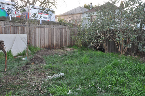 Old brush pile, after