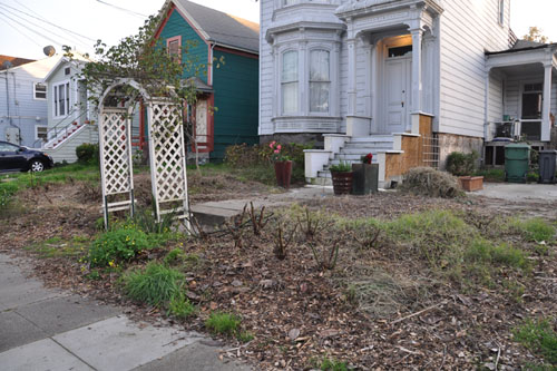 Front garden, before