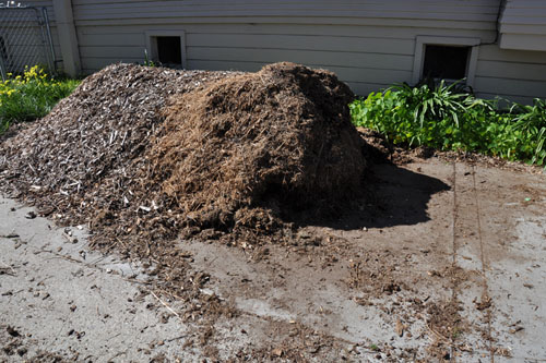 Wood chip pile this afternoon