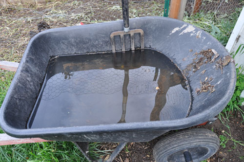 Wheelbarrow full of water