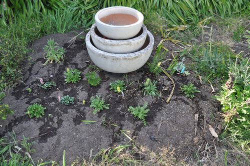 New planting bed in the orchard, with fountain prototype