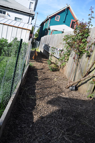 The war zone, with chickens