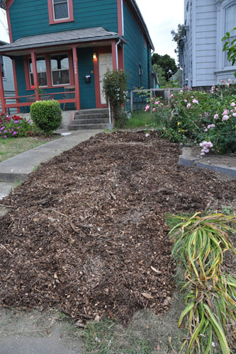 Bed between the houses, mulched over