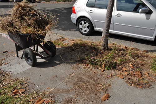 Tree base cleaned up