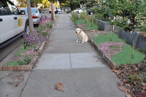 Front walkway plan