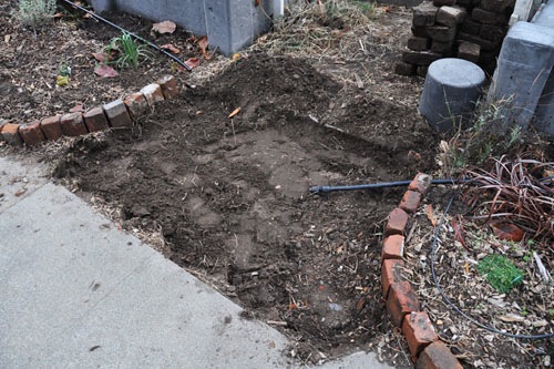 Bricks lifted from the front walk