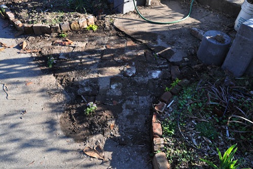Planted-up brick pathway
