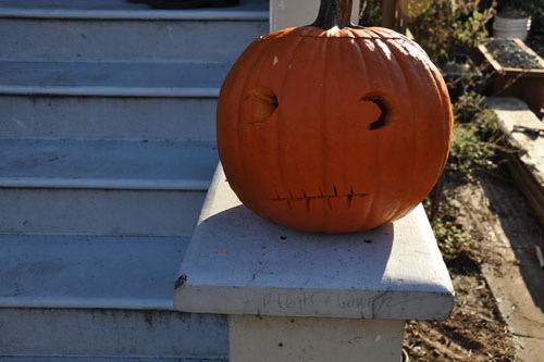 Wary pumpkin