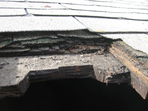 Count the layers of roofing!
